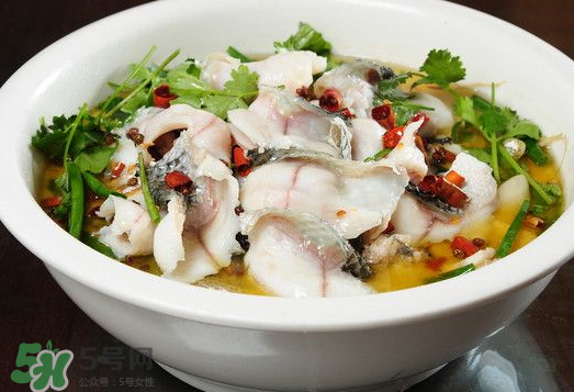 水煮魚(yú)可以放什么蔬菜？水煮魚(yú)可以放香菇嗎？