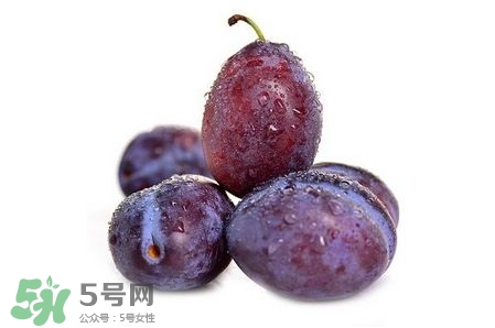 西梅可以放冰箱嗎？西梅放冰箱冷藏還是冷凍？