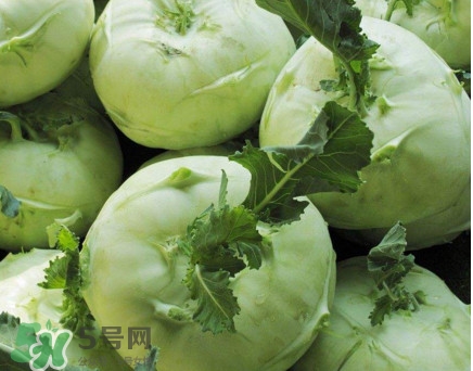 苤藍(lán)什么季節(jié)種植？苤藍(lán)什么時候采收