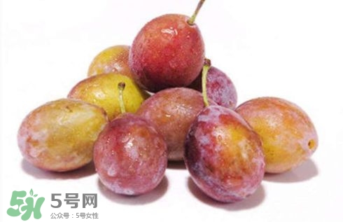 西梅可以放冰箱嗎？西梅放冰箱冷藏還是冷凍？