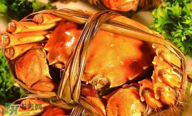 螃蟹吃什么食物長得大？十月份吃什么螃蟹？