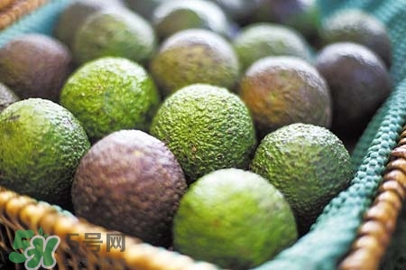 牛油果吃了對子宮好嗎？牛油果對子宮的好處