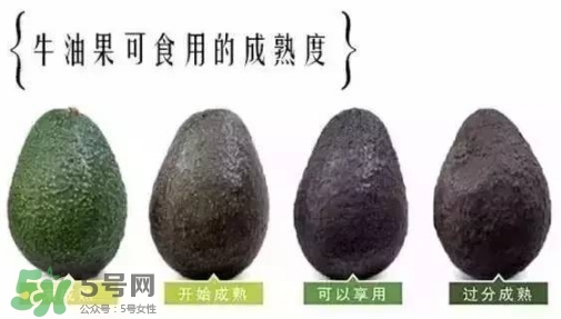 牛油果是什么味道？牛油果是甜的嗎？