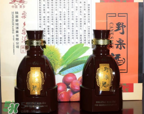 泡板栗酒用什么酒最好？板栗用什么酒泡最好？