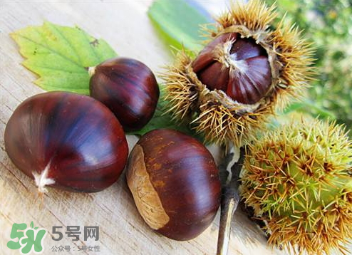 板栗泡酒真的能壯陽嗎？板栗泡酒有什么功效？