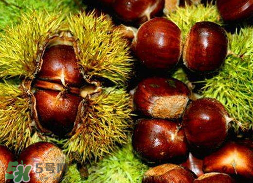 板栗泡酒要去皮嗎？板栗泡酒不去皮可以嗎？