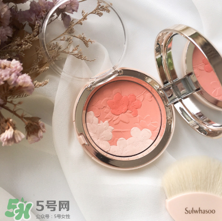 雪花秀腮紅多少錢？雪花秀腮紅價(jià)格