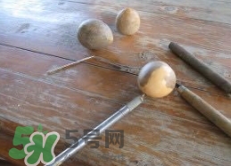 牛油果核能吃嗎？牛油果核怎么種盆栽？