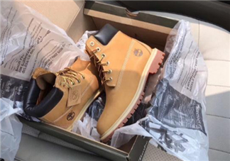 timberland鞋碼偏大嗎？timberland鞋碼偏大還是偏?。?>
<strong>timberland鞋碼偏大嗎？timberland鞋碼偏大還是偏小？</strong>
</a>
<p>timberland的靴子現(xiàn)在特別火，這個牌子的靴子雖然款式不多，但是都非常經典，而且價格也不是很貴，性價比很高。下面5號網小編給大家講講timberland鞋碼偏大嗎？timberland鞋碼偏大還是偏?。?/p>
</li>
<li>
<a href=