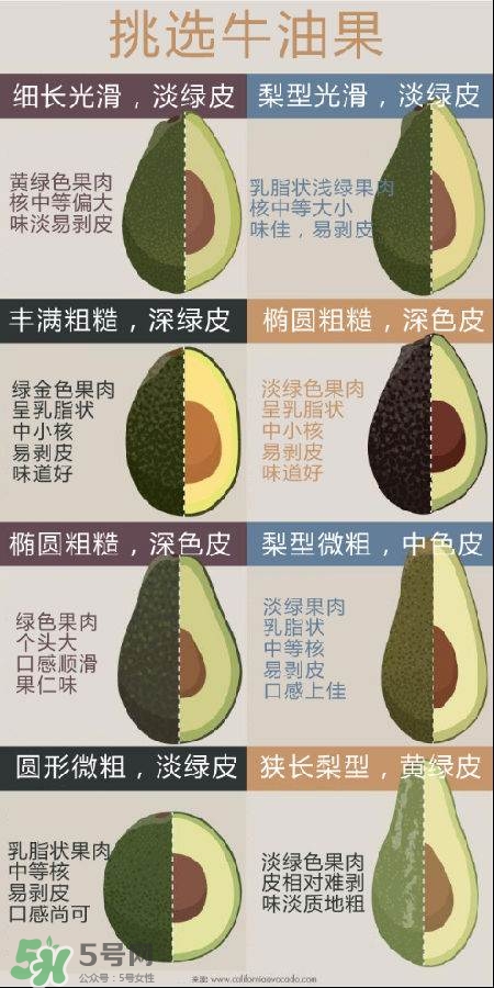 牛油果怎么挑選？牛油果多少錢一斤？