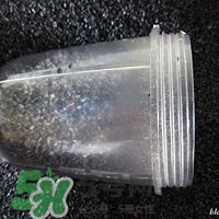 核桃粉怎么做？核桃粉的功效與作用