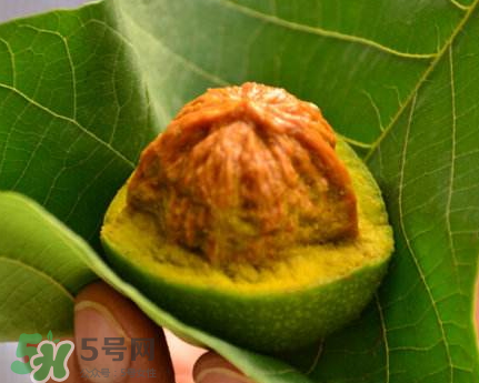青皮核桃可以冷凍嗎？青皮核桃可以冷藏嗎？