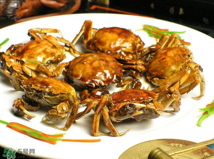 哪種螃蟹肉多？哪種螃蟹最好吃？