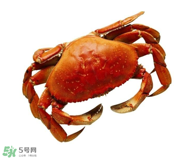 哪種螃蟹不能吃？什么樣的螃蟹不能吃？
