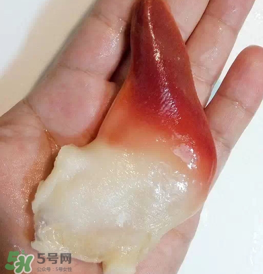 北極貝多少錢一斤？北極貝長什么樣子
