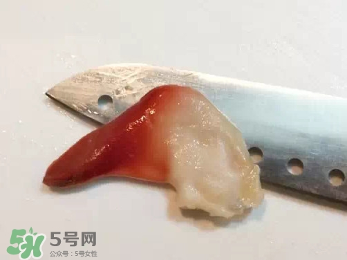 北極貝多少錢一斤？北極貝長什么樣子
