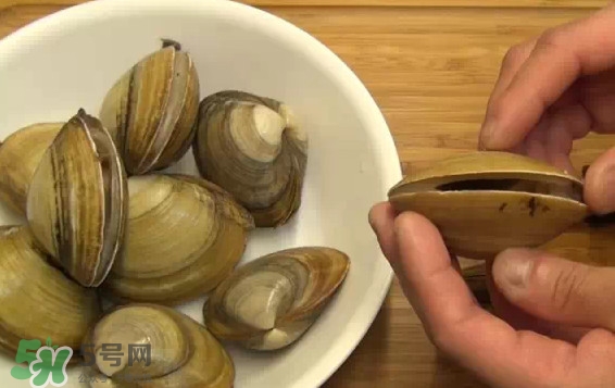 北極貝多少錢一斤？北極貝長什么樣子