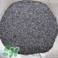核桃粉怎么做？核桃粉的功效與作用