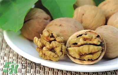 核桃分心木可以煲湯嗎？核桃分心木可以和枸杞泡水嗎？
