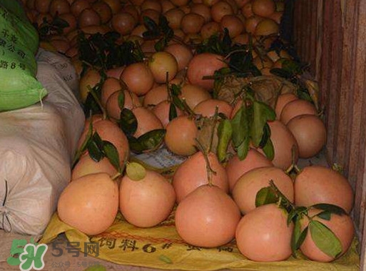 三紅蜜柚幾年結(jié)果？種三紅蜜柚好還是紅肉蜜柚好？