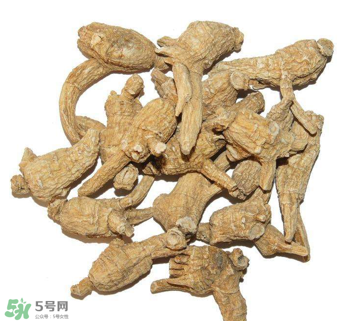 花旗參和西洋參的區(qū)別 花旗參好還是西洋參好？