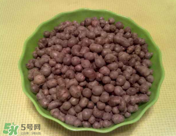山藥豆是什么東西？山藥豆是長(zhǎng)在土里嗎？