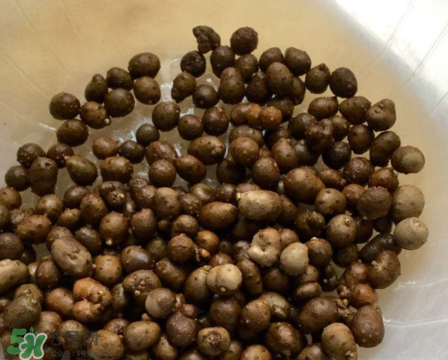山藥豆能生吃嗎？山藥豆能帶皮吃嗎？