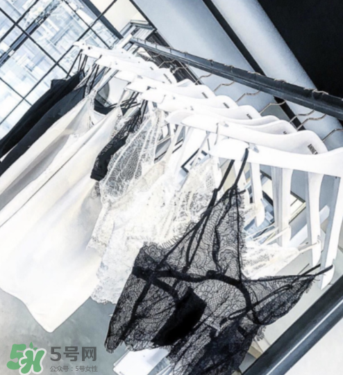 anine bing是什么牌子？anine bing是什么檔次？