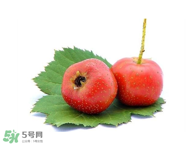 山楂和菊花能一起泡水喝嗎？