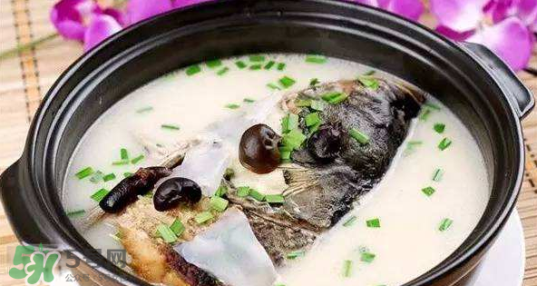 怎樣吃魚最有營(yíng)養(yǎng)？喝魚湯會(huì)致高脂血癥嗎？