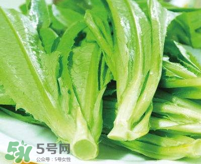 萵苣葉能吃嗎？萵苣葉和油麥菜有什么區(qū)別