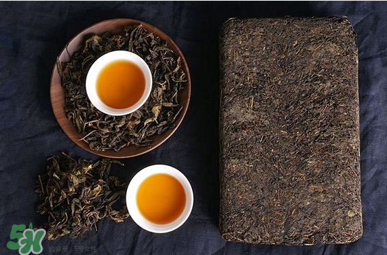 茯茶是熱性還是涼性？茯茶是不是放越久越好？