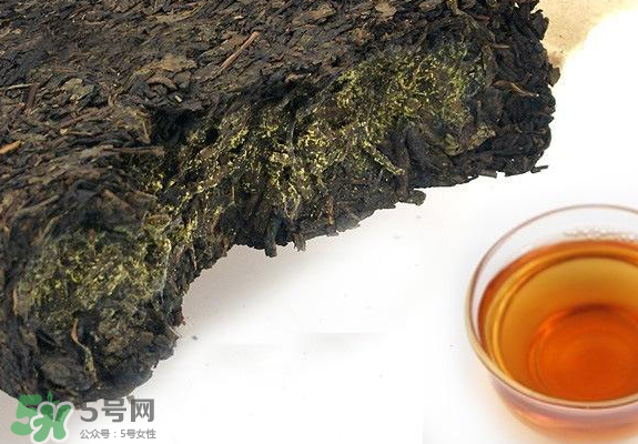 茯茶是熱性還是涼性？茯茶是不是放越久越好？