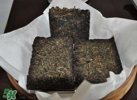茯茶是熱性還是涼性？茯茶是不是放越久越好？