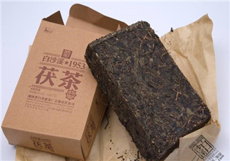 茯茶是什么茶？茯茶是黑茶嗎？