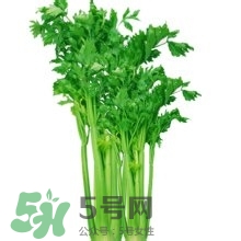 醋泡洋蔥能降血壓嗎？哪些食物可以降血壓？