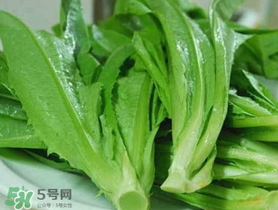 孕婦能吃涼拌萵苣葉嗎？萵苣葉煮水可以治蕁麻疹嗎
