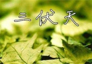 為什么三伏天最熱？如何過好三伏天？