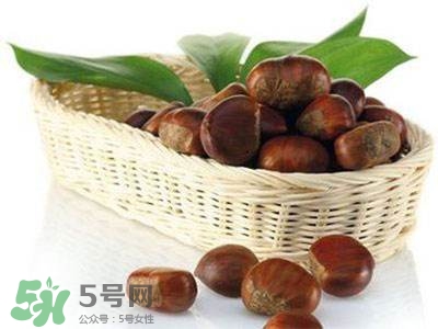 板栗酒能治療腎陽(yáng)虛嗎？板栗泡酒真的能壯陽(yáng)嗎？