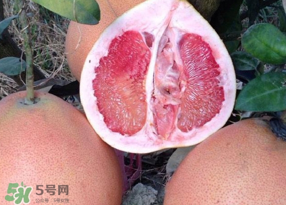 三紅蜜柚口味怎么樣？三紅蜜柚苗多少錢一棵
