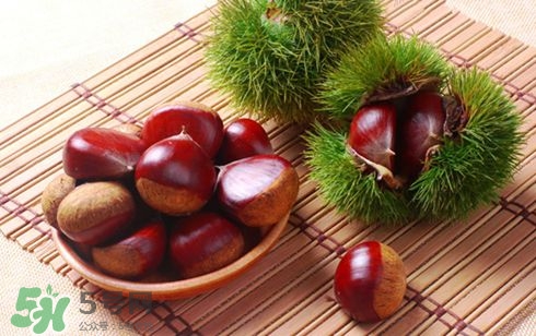 板栗酒能治療腎陽(yáng)虛嗎？板栗泡酒真的能壯陽(yáng)嗎？