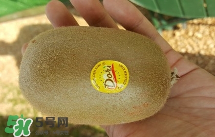 黃心獼猴桃叫什么名字？黃心獼猴桃是什么品種