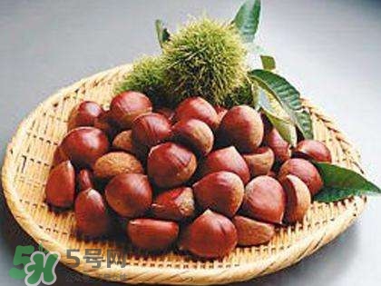 板栗酒能治療腎陽(yáng)虛嗎？板栗泡酒真的能壯陽(yáng)嗎？