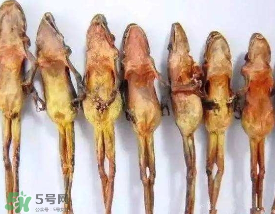 雪蛤干多少錢一斤？雪蛤干怎么吃？