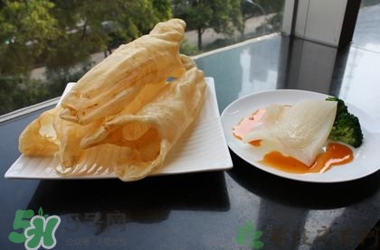 花膠可以放多久？花膠可以放冰箱嗎？