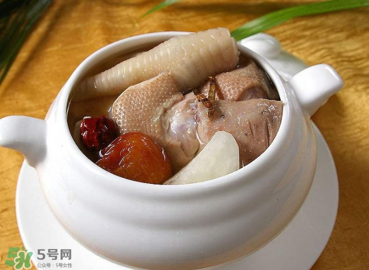 花膠可以放多久？花膠可以放冰箱嗎？