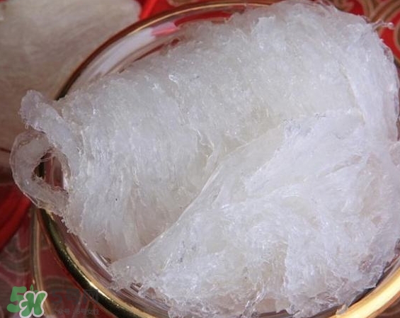 發(fā)好的燕窩怎么保存？發(fā)好的燕窩可以冷凍嗎？