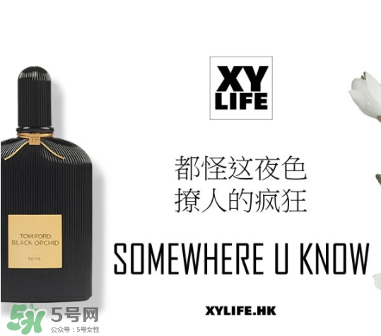 tom ford午夜蘭花香水怎么樣？香味好聞嗎