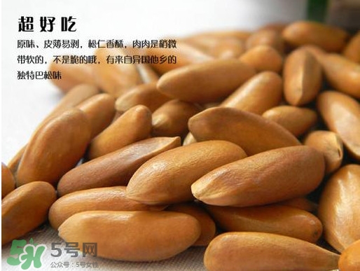 松籽可以生吃嗎？松籽怎么儲(chǔ)藏保存