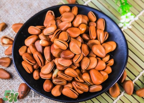 松籽什么季節(jié)采摘？吃松籽有什么好處？